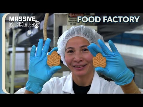 Cheetos Puffs and Maple Leaf Cookies Factory Tour | Food Factory