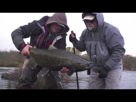 download lagu mp3 mp4 John Giuliani Fishing Adventures, download lagu John Giuliani Fishing Adventures gratis, unduh video klip John Giuliani Fishing Adventures