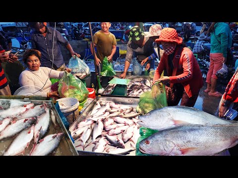 Busy Fish Market Early Morning Scenes, Chhbar Ampov Fish Distribution Site, Amazing Cambodia