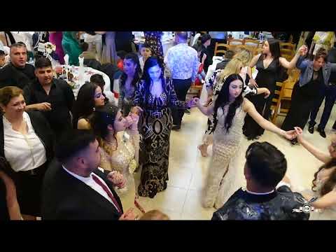 Puișor de la Mediaș❌Bihoreana romani de joc (țigănească)