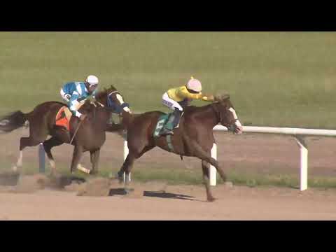 12/12/2025 – Hipodromo Paysandu – Carr 5 – 13 AÑOS DE LA CREACIÓN DEL SINT