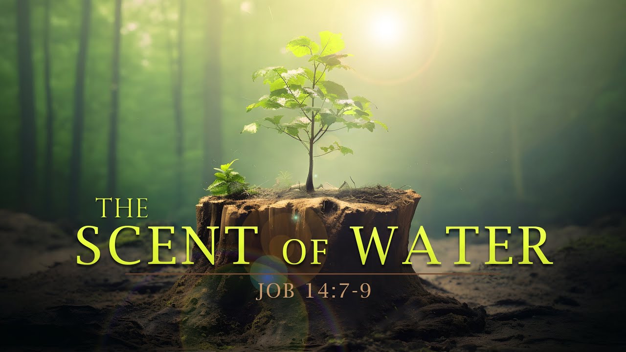 The Scent of Water - Pastor Stacey Shiflett