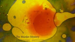 The Murder Mystery #64 100 Covers Lou Reed &amp; Velvet Underground