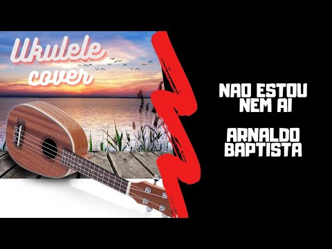 Não Estou Nem Aí - Arnaldo Baptista