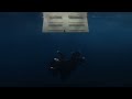 Billie Eilish WILDFLOWER Extended Audio