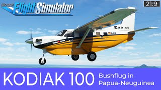 Kodiak 100 Series II - JayDee´s Checklist & Procedures (PDF) video