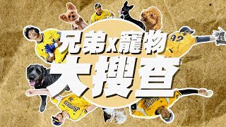 [閒聊] 爪yt廢片