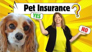 Is Pet Insurance for Cavaliers Worth It? 💸 The Honest Truth