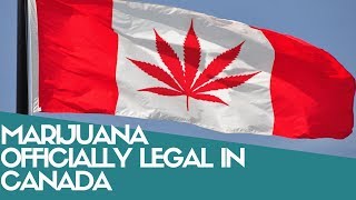 Marijuana Officially LEGAL in Canada ! What they Means where you live #LegalizationDay