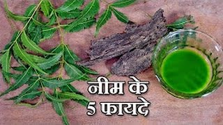 5 Neem Benefits in Hindi - नीम के लाभ - Health Tips | DOWNLOAD THIS VIDEO IN MP3, M4A, WEBM, MP4, 3GP ETC
