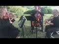 "Flightless Bird, American Mouth" - by Landolfi String Quartet