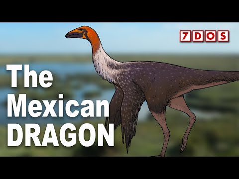 Bizarre New Dinosaur Species With Long Fingers Discovered