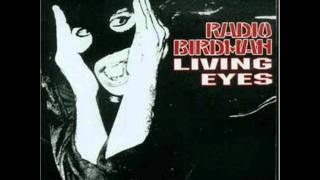 RADIO BIRDMAN  TIME TO FALL.wmv