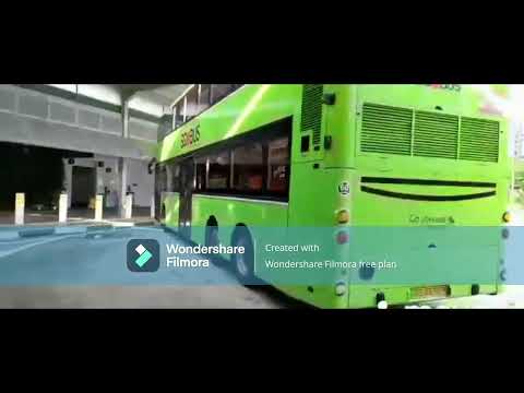 Punggol bus spotting