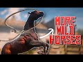 TAMING WILD HORSES WITH EUGENE Wild Horses And Adoption RDR2 RedM RP