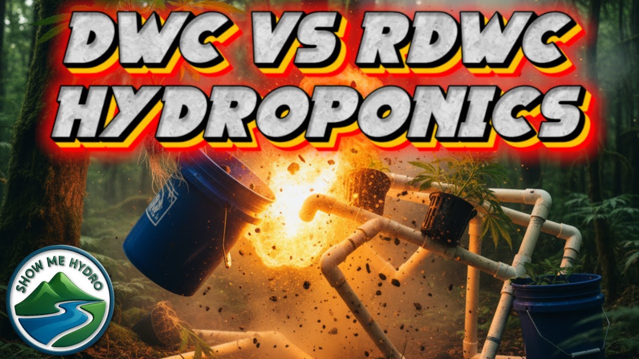 DWC vs RDWC Hydroponics