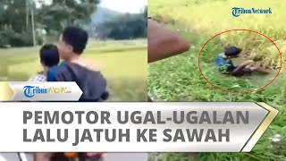 Viral Video Balap Motor Ugal-ugalan Berujung Jatuh ke Sawah, Aksi Ugal-ugalan Sering Dilakukan