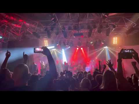 Jaya the cat 23.07.2022 - Finale 😎