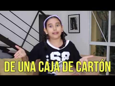 24 horas dentro de una caja de cartón Gibby