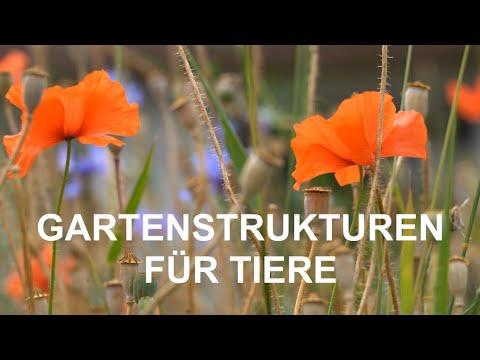 Gartenstrukturen für Tiere