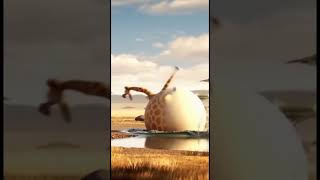 A GIRAFA FOI TOMA ÁGUA E CAIU #shorts