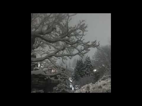 [FREE] glaive x 100 gecs x sqwore x treepside type beat - "rage" (prod. elox1m)