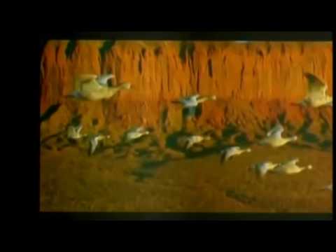 Foyone ft Leiterman - True savia