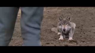 John Barry - Two Socks, The Wolf Theme (Dances With Wolves) 1990