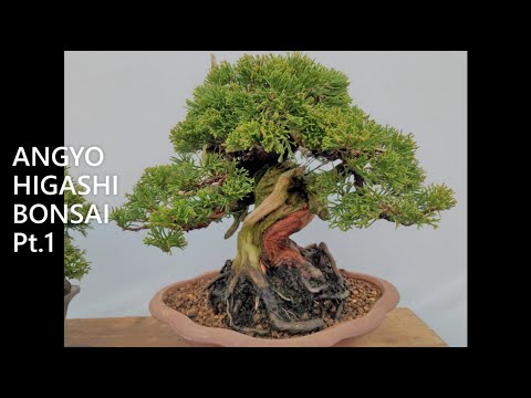ANGYO HIGASHI BONSAI (Specialized in SHOHIN)   PART 1