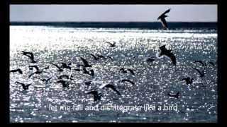 Thea Gilmore - The Parting Glass