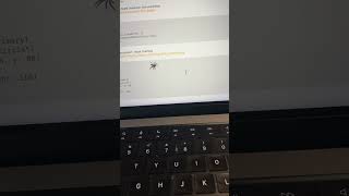 jumping spider vs mouse cursor