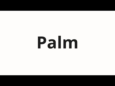 How to pronounce Palm