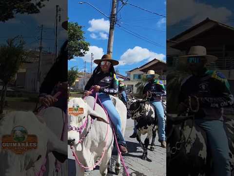 Tradição e cultura em MINAS GERAIS