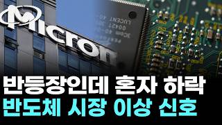 반등장인데 혼자 하락…반도체 시장 이상 신호
