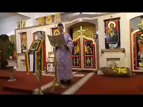 Predică tânărul Stef Mihnea-Cătălin la Praznicul Sfântului Ierarh Nicolae 6 Decembrie 2019