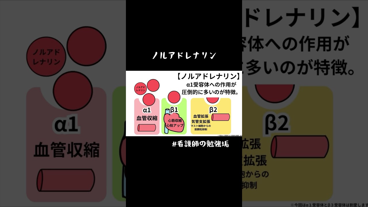 【看護師アニメ】ノルアドレナリン の勉強