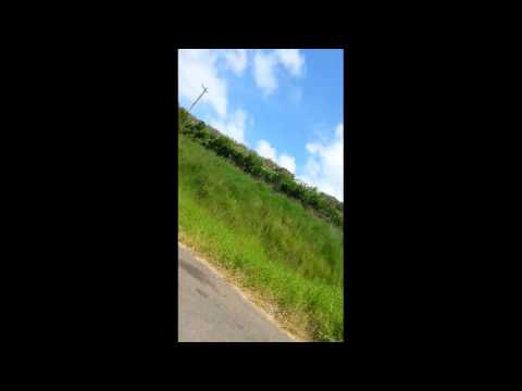 Estiva Mogi das Cruzes