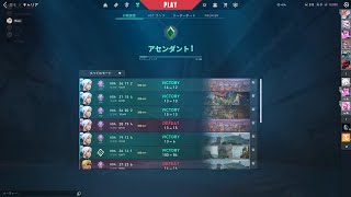 飯食いながらマジでなんもしない配信