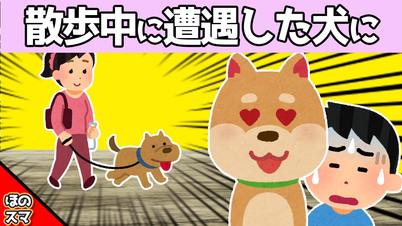散歩中に遭遇した犬に恋する愛犬→予想外の展開に…www