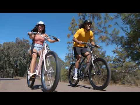 Electra Townie Go! 7D EQ