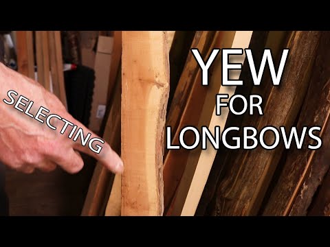 How to select Yew wood for English Longbows and Warbows, bow wood material selection