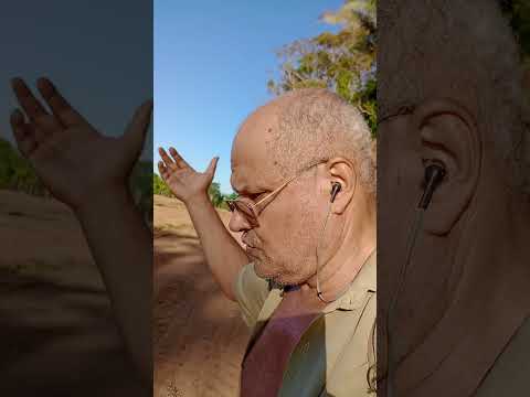 Lindíssima floresta na cidade de Ouro Preto do oeste-RO #angelinoambientalista #shorts