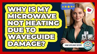 Why Is My Microwave Not Heating Due to Waveguide Damage?