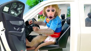 Monkey Baby Bon Bon learn about traffic safety and plays with Ducklings in the swimming pool