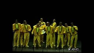 Esto no es normal – Preliminares – COAC 1993