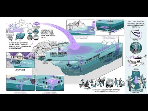 Ocean Carbon Dioxide Removal (CDR) - a ClimateWorks production