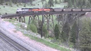 transcendental blues