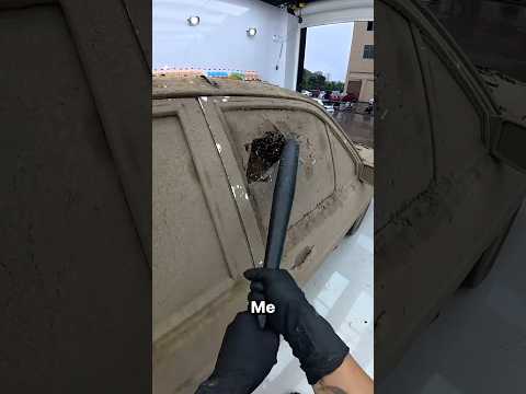 A veces es mejor animarse a reparar 🚙🪏 #car #cars #automobile #viralvideo
