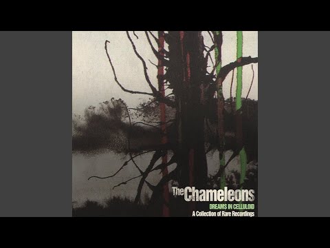 Video thumbnail for Dreams In Celluloid