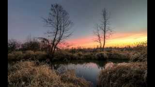 Embrace The Moment ~ Inner Strength